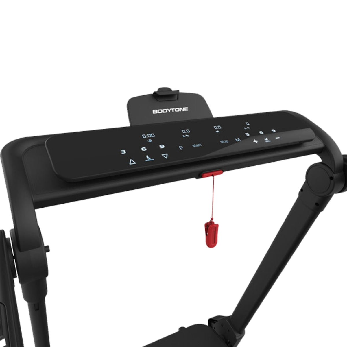 Bodytone DTF loopband