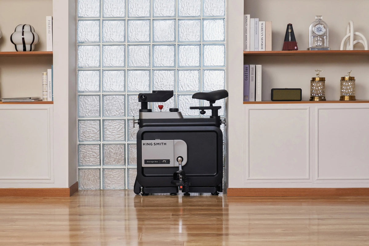 KingSmith WalkingPad W1B Office Bike
