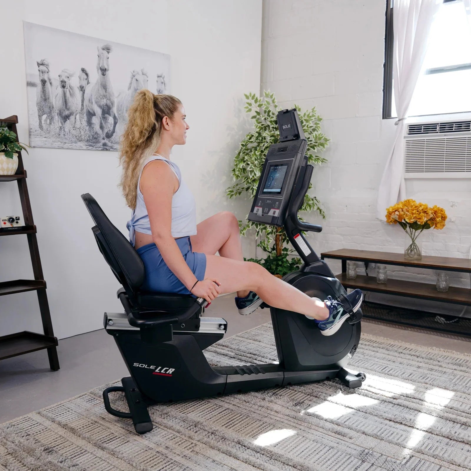Sole Fitness LCR recumbent bike ligfiets - touchscreen entertainment scherm