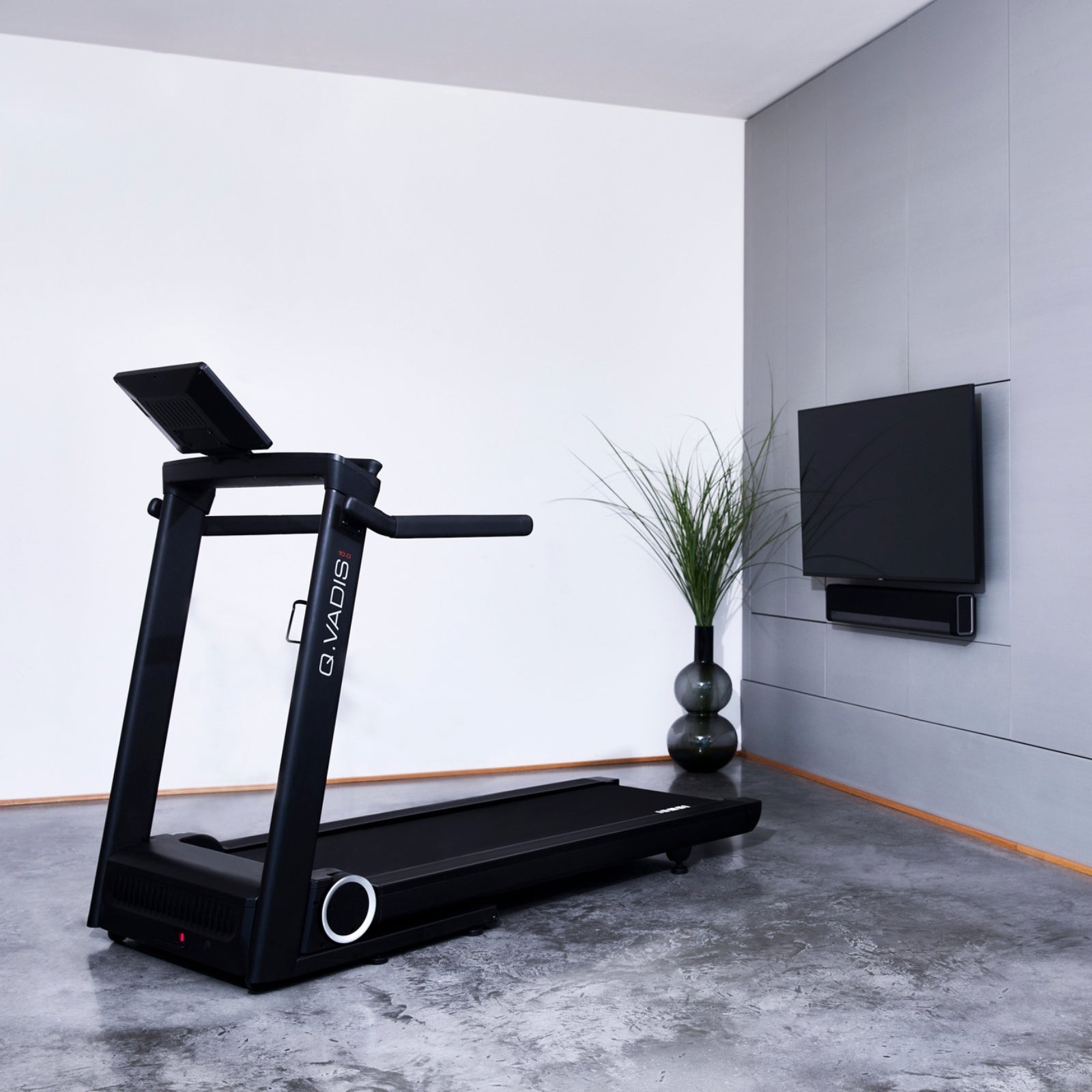 Hammer Q. Vadis 10.0 loopband