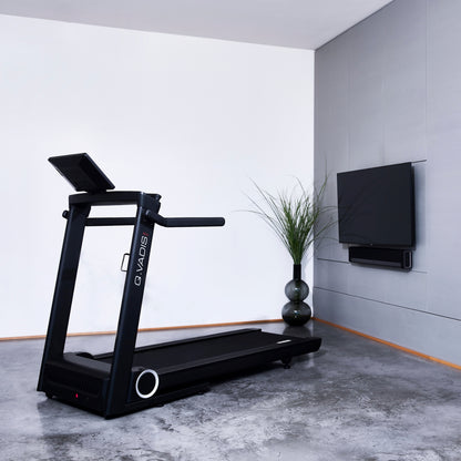 Hammer Q. Vadis 10.0 loopband