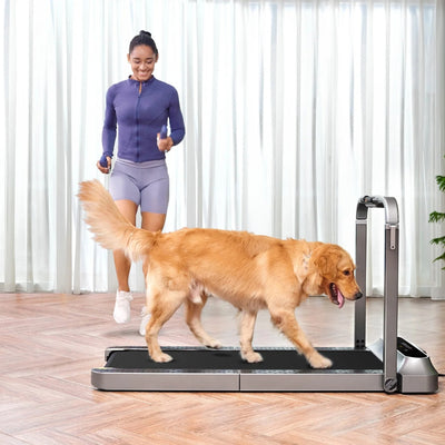 KingSmith WalkingPad R2 foldable treadmill