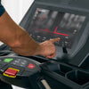 Image of HammerTR 8000 (2025) loopband