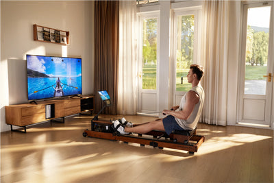 KingSmith WalkingPad WR3L rowing machine