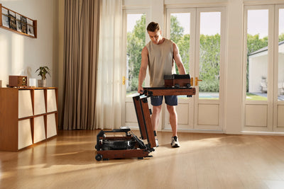 KingSmith WalkingPad WR3L rowing machine