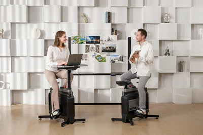 KingSmith WalkingPad W1B Office Bike