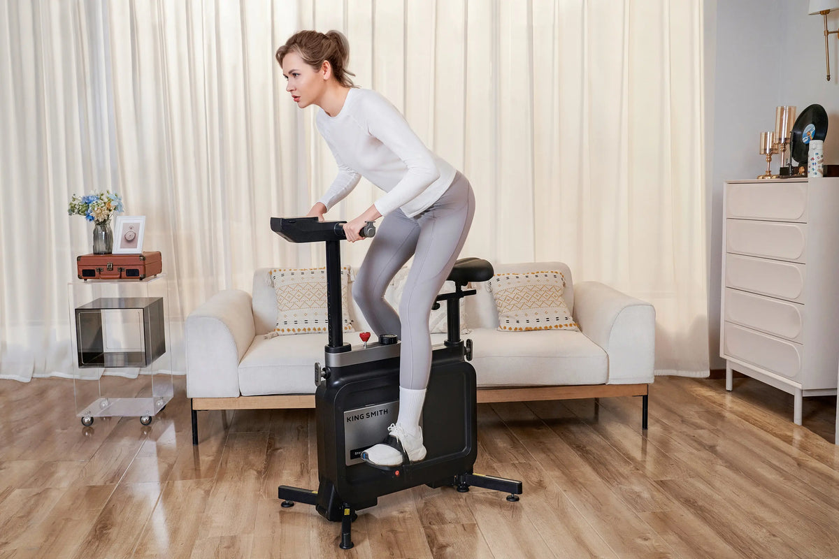 KingSmith WalkingPad W1B Office Bike