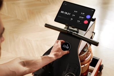 KingSmith WalkingPad WM10 rowing machine