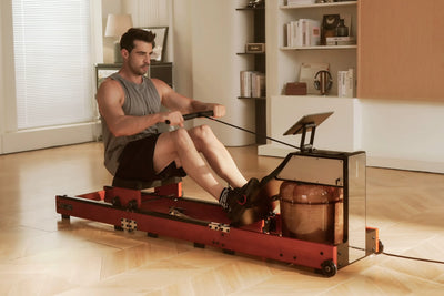 KingSmith WalkingPad WM10 rowing machine
