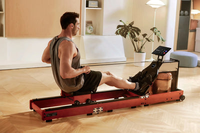 KingSmith WalkingPad WM10 rowing machine