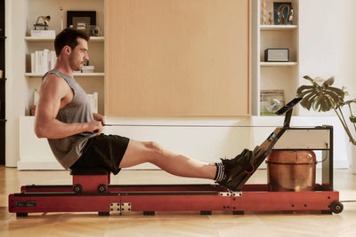 KingSmith WalkingPad WM10 rowing machine