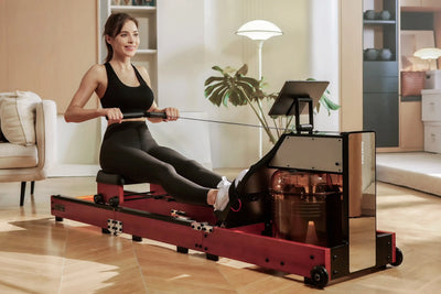 KingSmith WalkingPad WM10 rowing machine