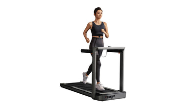 KingSmith WalkingPad MX16+ foldable treadmill