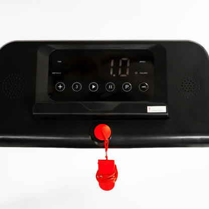 Progressive RUN900F loopband